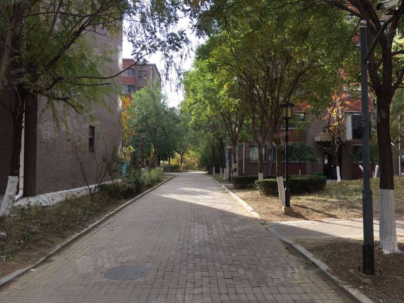 巧克力城园区图片