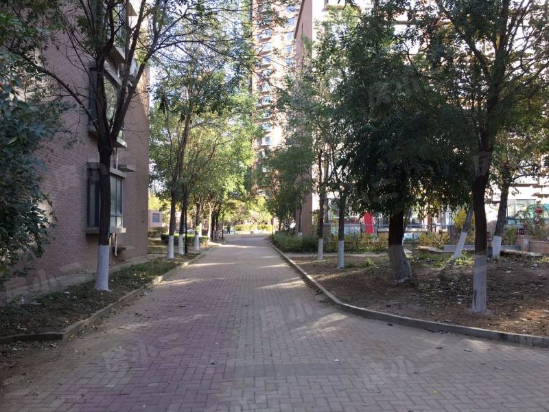 巧克力城园区图片