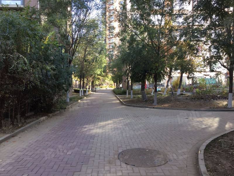 巧克力城园区图片