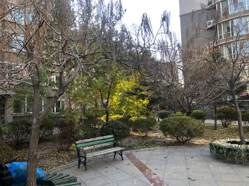 鲲鹏家园园区图片