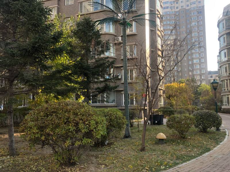 鲲鹏家园园区图片