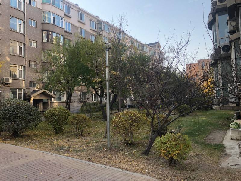 鲲鹏家园园区图片