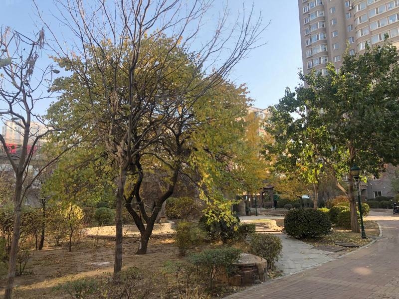 鲲鹏家园园区图片