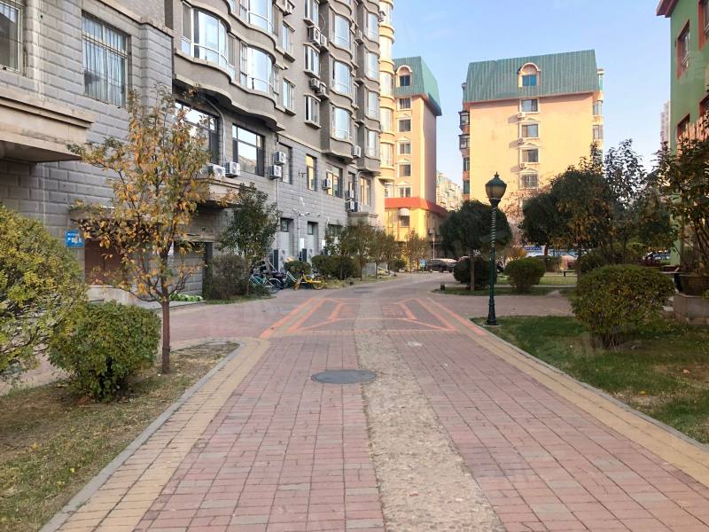 鲲鹏家园园区图片