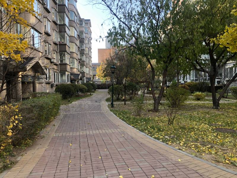 鲲鹏家园园区图片