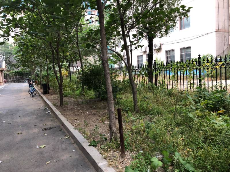 鲲鹏小区三期园区图片