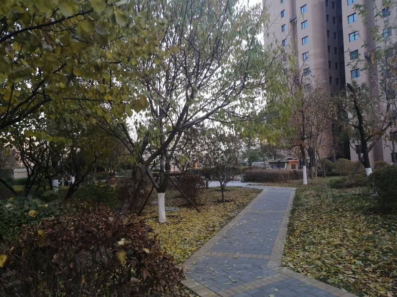 名流印象四期五期园区图片