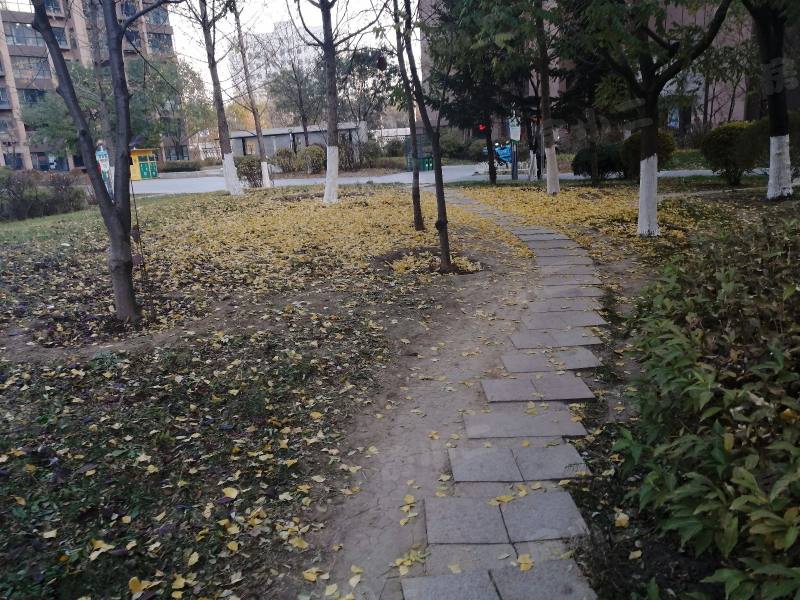 名流印象四期五期园区图片