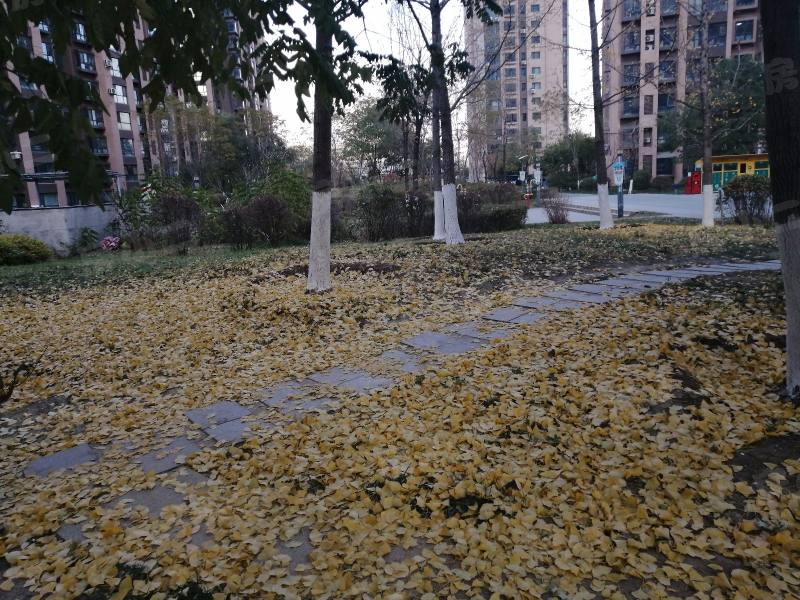 名流印象四期五期园区图片