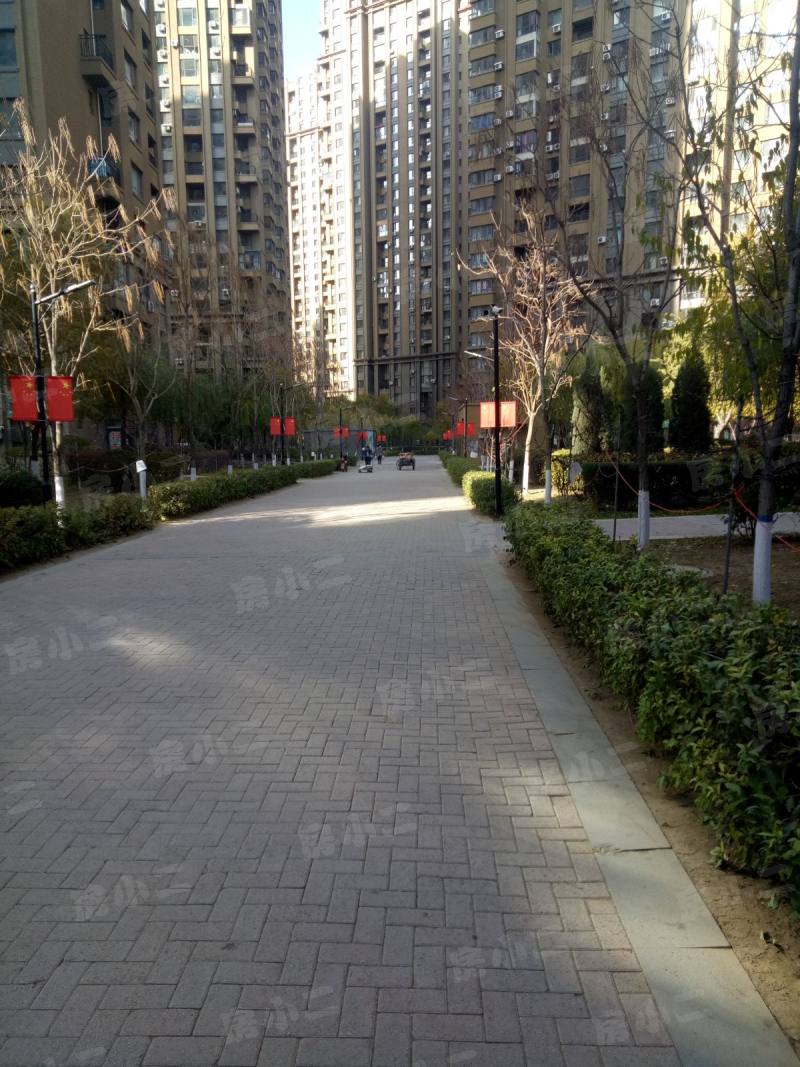 唐轩公馆园区图片