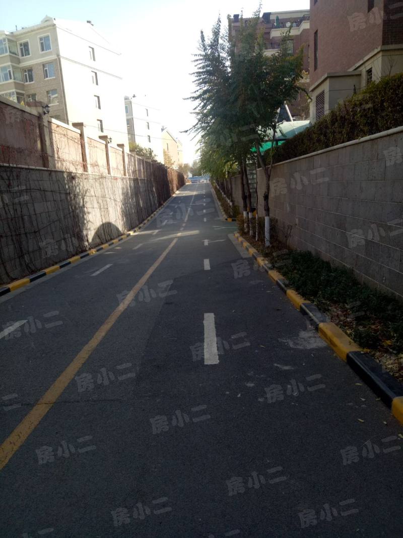 唐轩公馆园区图片