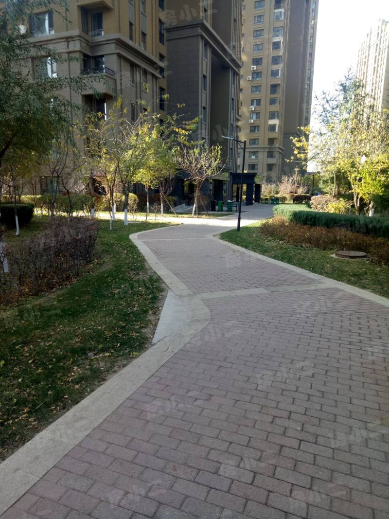 唐轩公馆园区图片