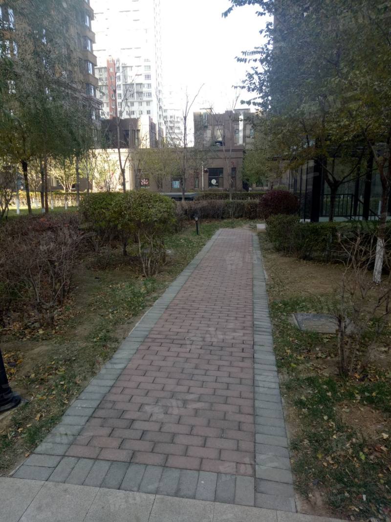 唐轩公馆园区图片