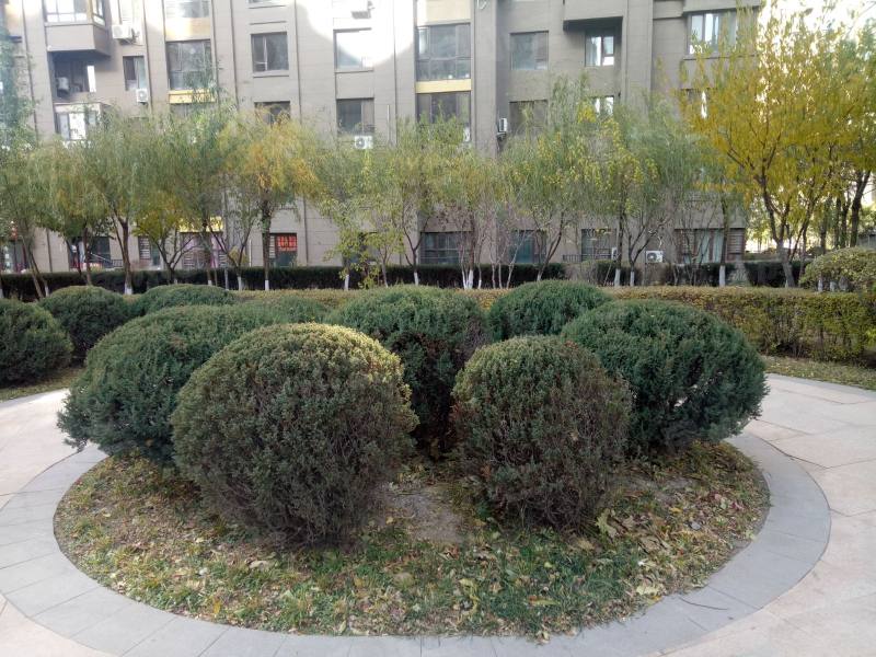 唐轩公馆园区图片