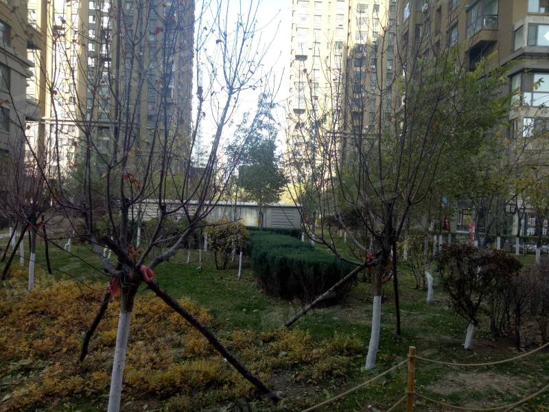 唐轩公馆园区图片