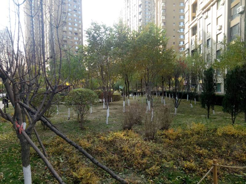 唐轩公馆园区图片