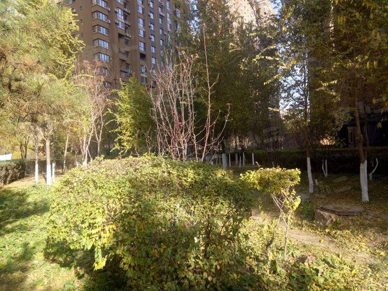 唐轩公馆园区图片