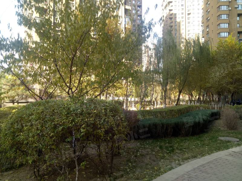 唐轩公馆园区图片