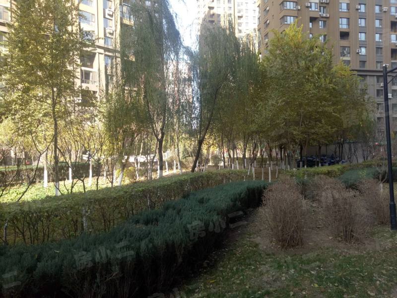 唐轩公馆园区图片