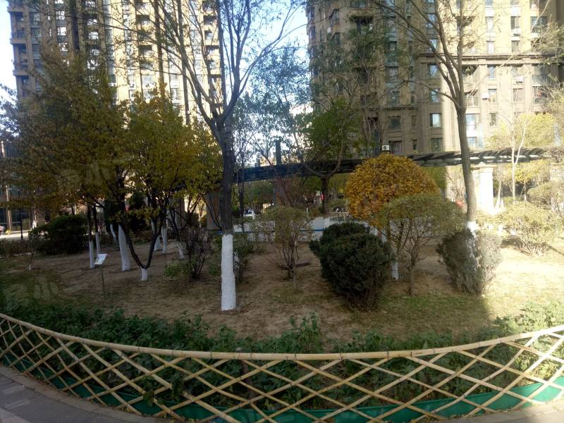 唐轩公馆园区图片