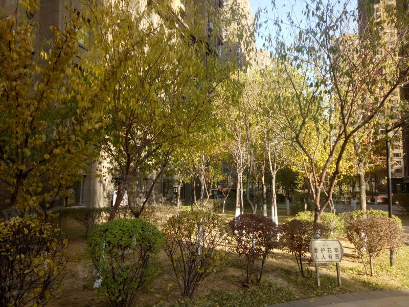 唐轩公馆园区图片