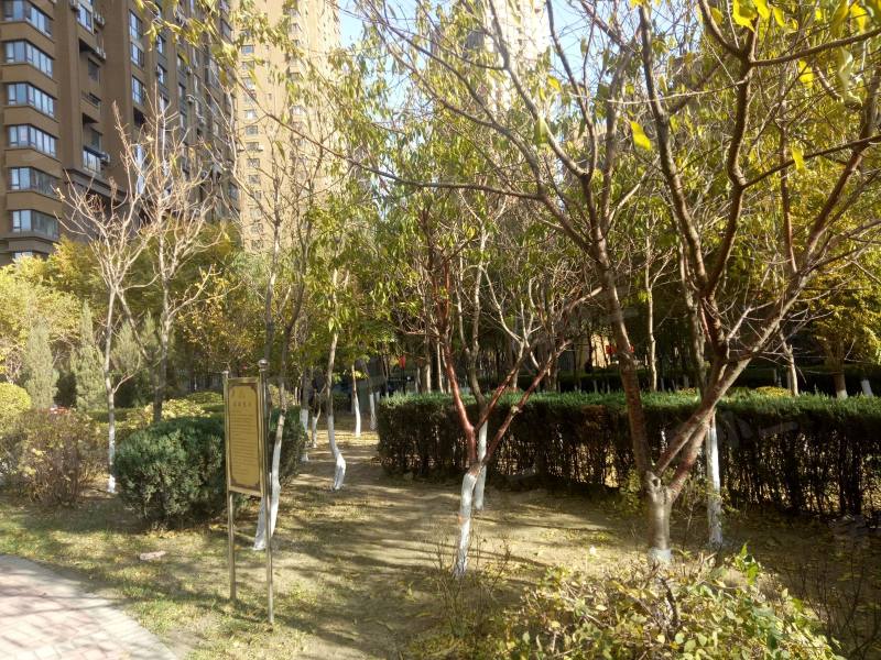 唐轩公馆园区图片