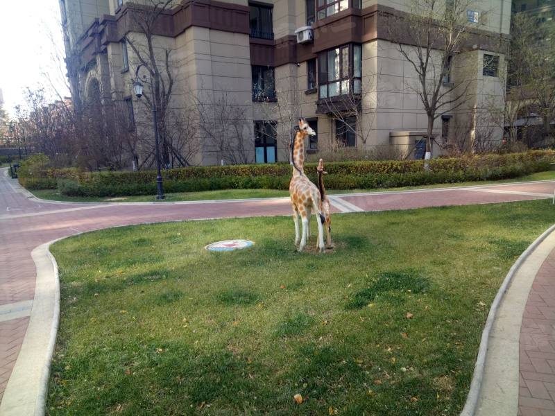 中铁香湖园区图片