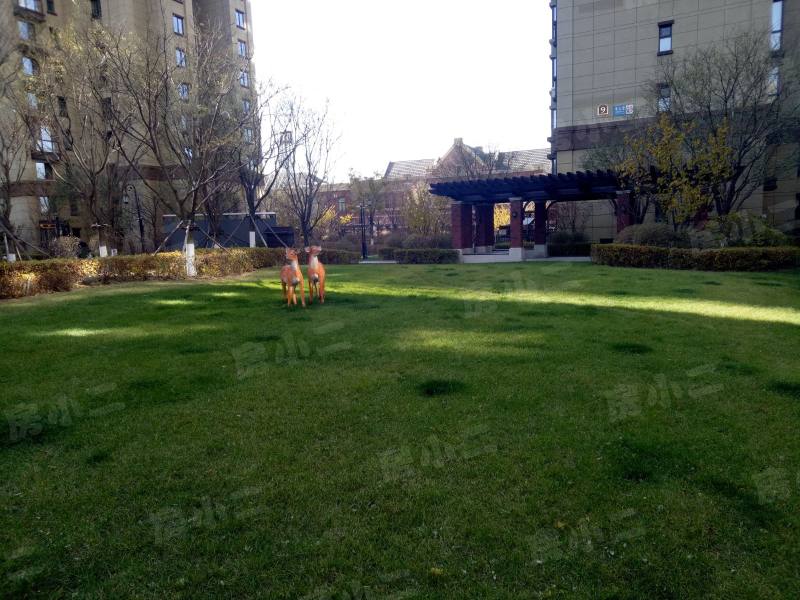 中铁香湖园区图片