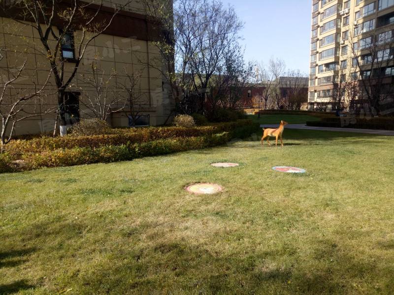 中铁香湖园区图片