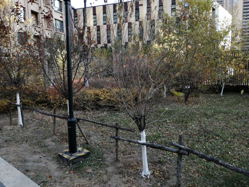 华强城一期园区图片