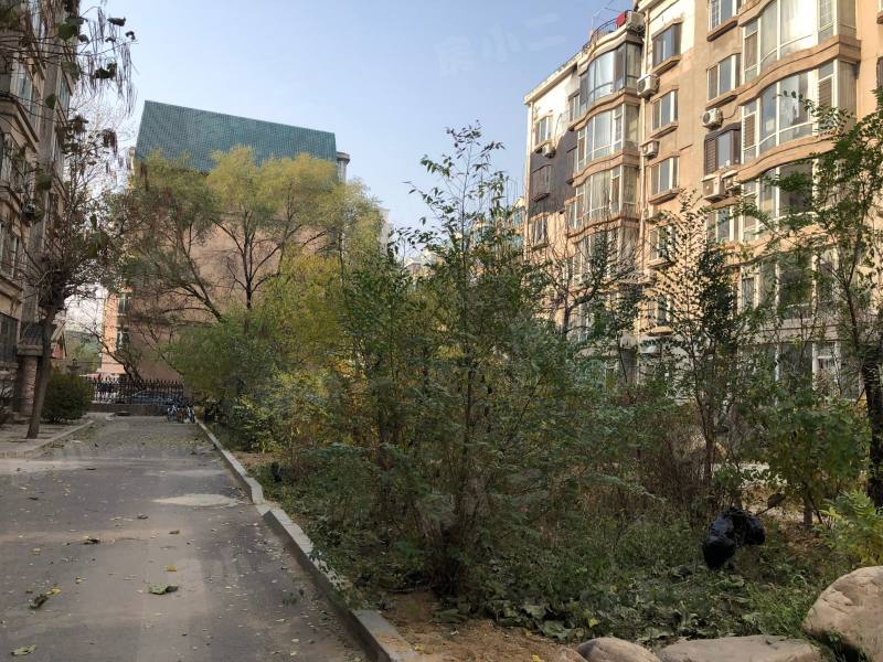 鲲鹏小区三期园区图片