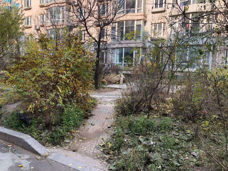 鲲鹏小区三期园区图片