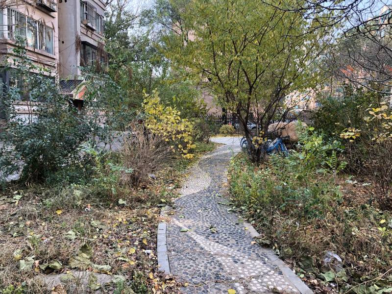 鲲鹏小区三期园区图片