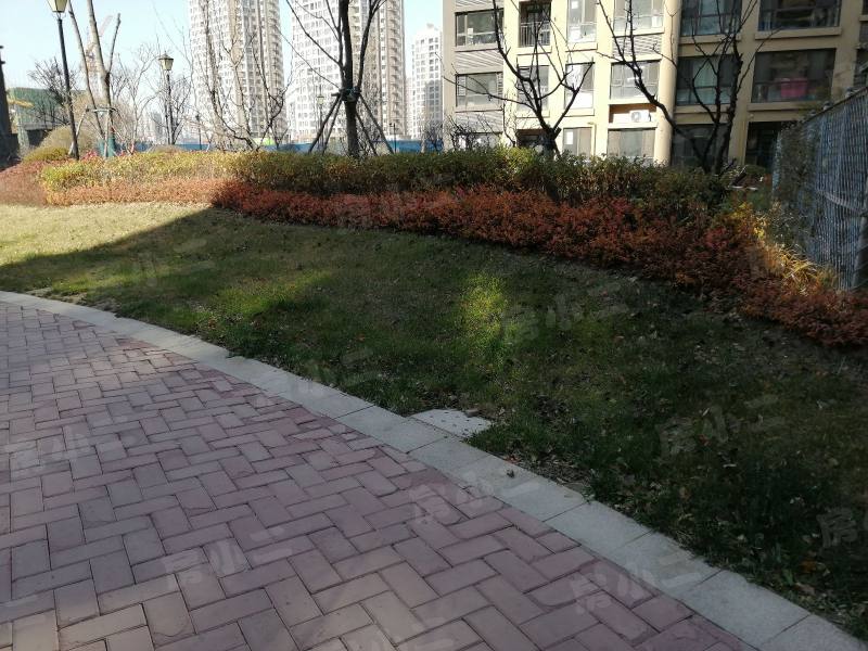 华强城二期园区图片
