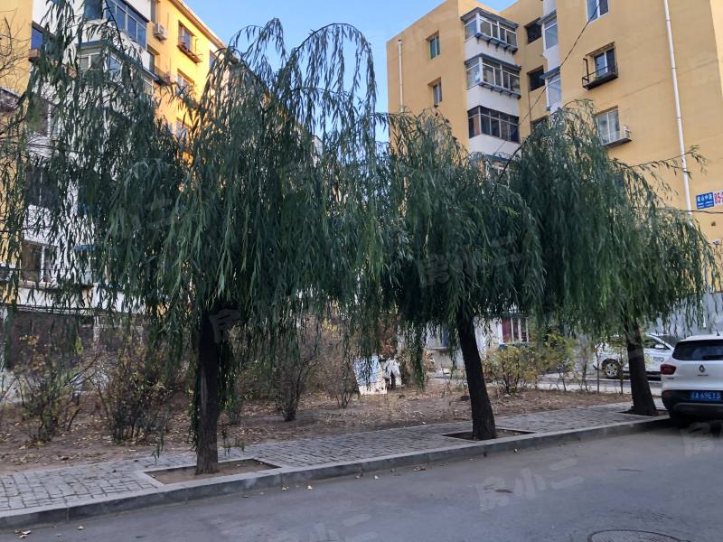 沈厂荆西区园区图片
