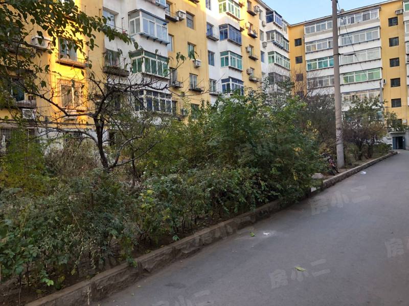 沈厂荆西区园区图片