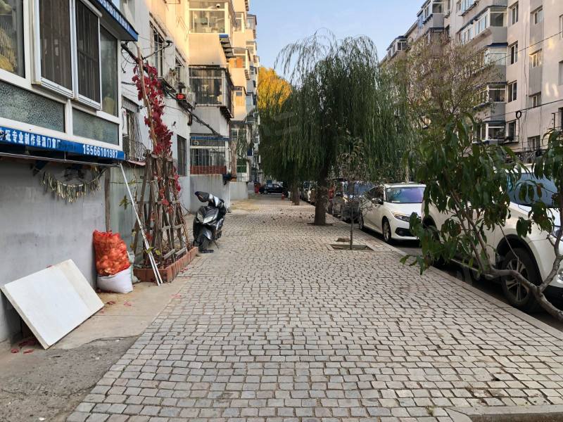 沈厂荆西区园区图片