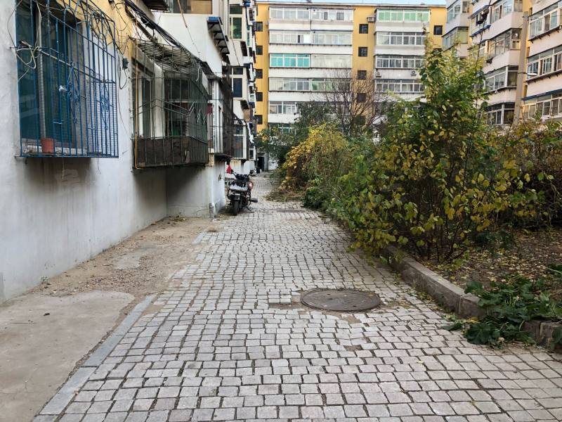 沈厂荆西区园区图片