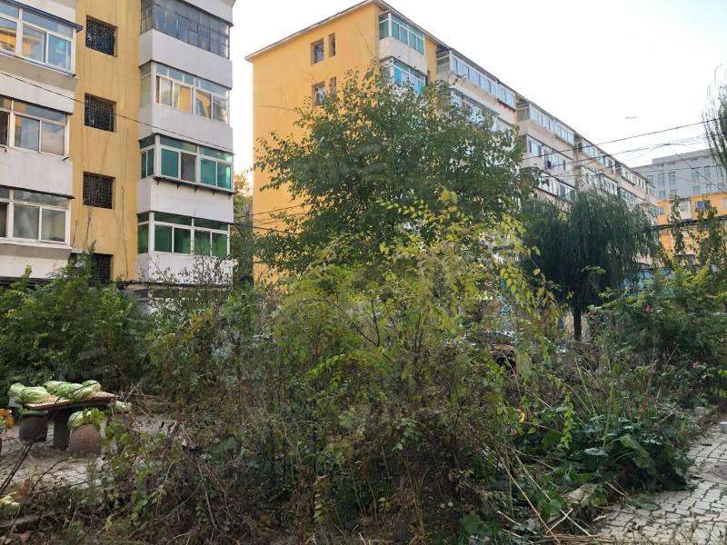 沈厂荆西区园区图片
