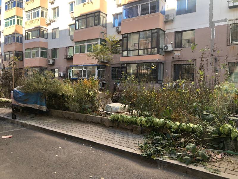 泾河小区园区图片