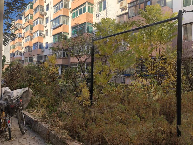 泾河小区园区图片
