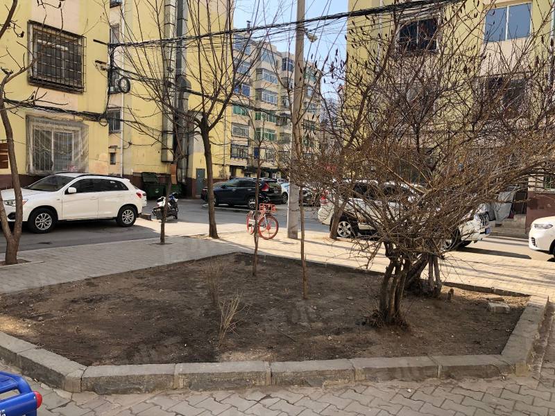 长江南小区园区图片