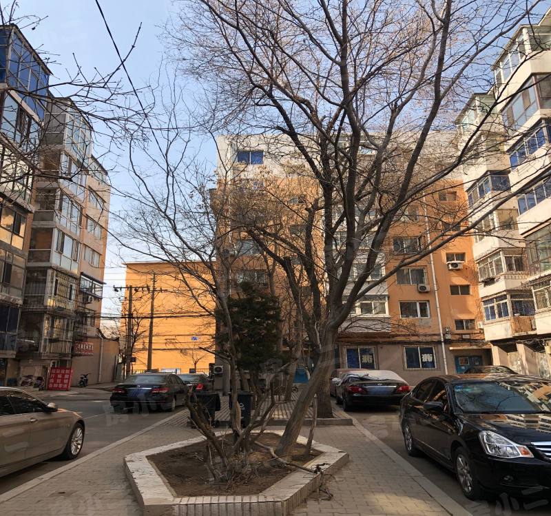 珠江馨苑园区图片