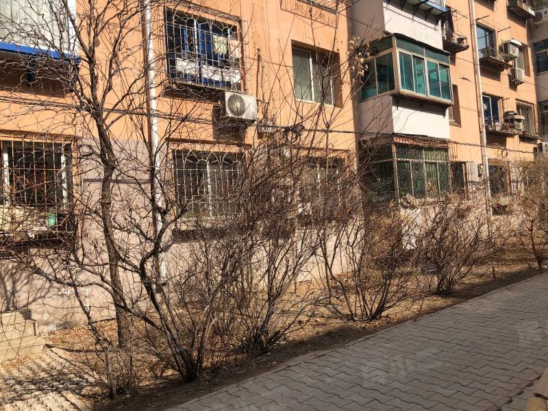 珠江馨苑园区图片