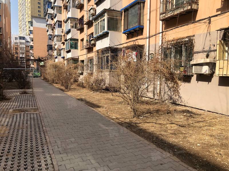 珠江馨苑园区图片