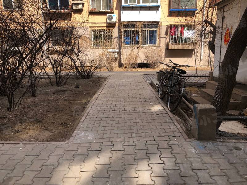 珠江馨苑园区图片