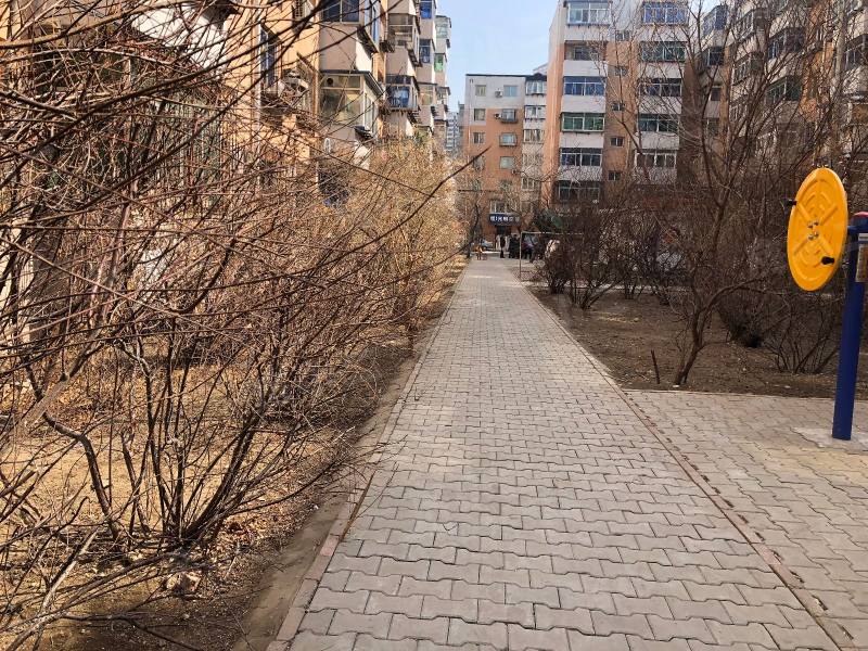 珠江馨苑园区图片