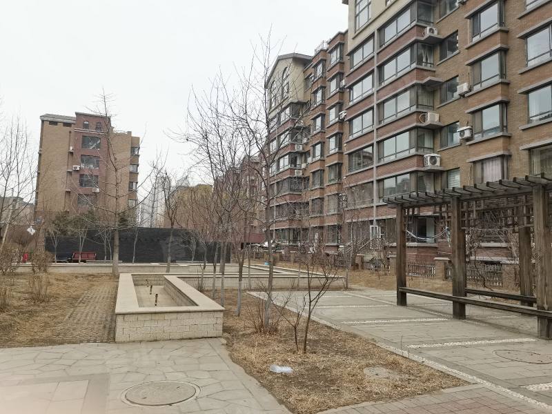 瑞士风情小镇三期铂邸园区图片