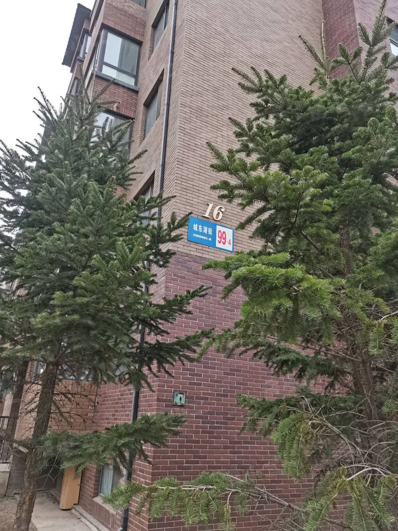 瑞士风情小镇三期铂邸园区图片