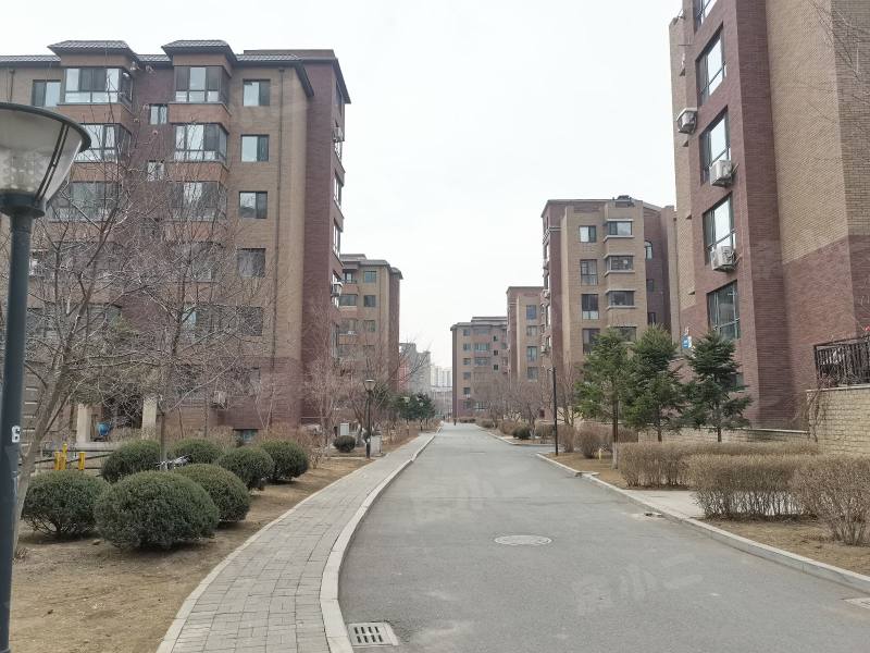 瑞士风情小镇三期铂邸园区图片